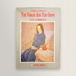 the virgin nd the gispy
