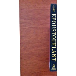 Epoustouflant