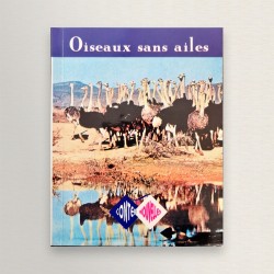 oiseaux sans ailes
