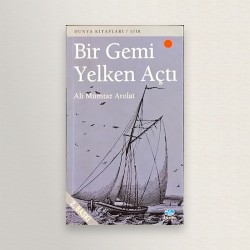 Bir gemi yelken acti