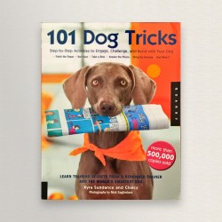 101 dogs tricks