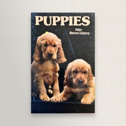 Puppies
