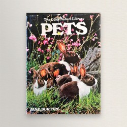 Pets
